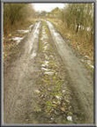 � 2015 ���� �� ���� �������� ����� ������� ������ 