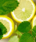 ���� � ����������� �������� ������ �������� �����������