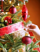 ������� �������������� ����