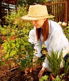 �������� �������� �������� �������� �������� � ����������� ������