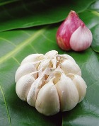 ������ �� ��� ������ �����