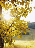 �������� ������ - ���� ������ ���������