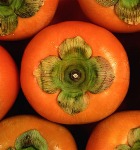 ����� - ������ ������ �� ���������