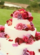 ������� ���������� ���� ��� ��� ���� ���������