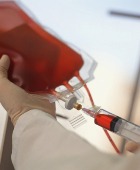 ������ ������ ������ �� ����