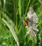 �������� �������� �������� � ��������