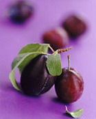 ����� �� �������� ��������� �� �������� �������