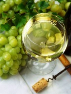 ������ ���� ������ ����