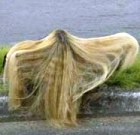 ������... �� ������� �����?