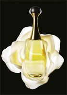 ��������� ������� �� Dior