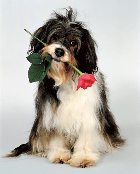 ����� ��� ��?