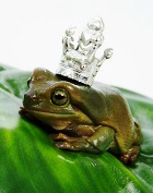 ��������� �������