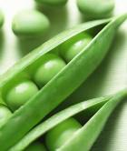 ������� ������� � ����������� ����������� �����  �������� ������ ���������� � �������� �������