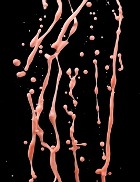 �������� �����, ������������ ������������ �������� ���� � ����� ���