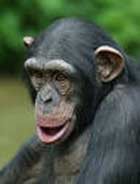 ����� �������� ���� ����� �� �������!