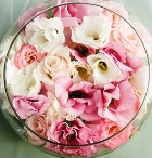 �������� ������ ������� ������ ��� 