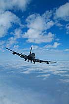 20-������ ������� ������ ��� � ��������� �� �������� 