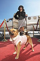 � ��� ������ ������ ������ � ���� ��������� ��� �������� 