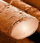 ������ � ����� ��������� ���������, ������������ � ���������