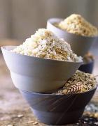 ����� ������� ����� 