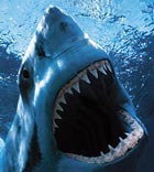 ���� ����� ��������� � � ����� ������� ������� � �������