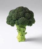 �������� � ������� ��� ������� �� ���� � ����