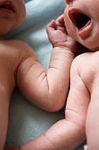 ���������� ������������ � ������ ��������� �� ������ ������