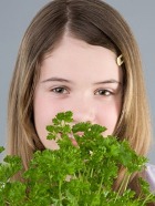 ����������� �������� ������ ������ �����