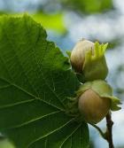 �����: ������ ��� ���� � ������ ����?