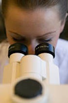 ��������� ������ �������, �������������� �������� ���� ������� ������� 