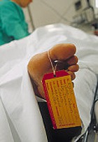 � �������� ����� ����� ������� �������