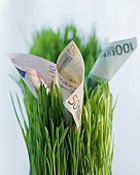 ���������� ������: ������ ����� ������� �� ������! 