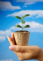 ����� ������� ��� �������� - ������� �� ���� 