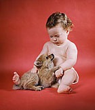 ��������� ���� ��������� �������� ���� �����