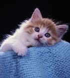 ����� � ������, ���� � ����� 