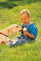 �������� ������� ��������� ��� ����� 