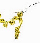 ������� ������ �������� �� ���������