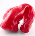 ���������� ������������ �� ��������