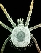 ����� ����� ����� �� ����?