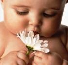 ��������� ��������������� �� ���������� ���������� ������ ����� ���� ����������