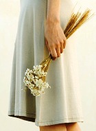 ����� ������ ��������. ��� ������� � ������ 