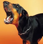 ������ ������ ��������� ��������