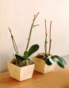 ���������� ���������� �������� = ��������� ����� ��������