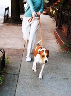 ����� ����������� �������� � ���� �������! 