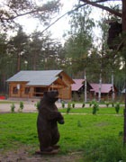 ������� ���� ������������ ������