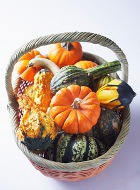 ������� ��������� - �����