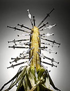 �� ��� �������� ��������� ��������