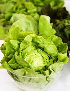 �����, ����������� ��������