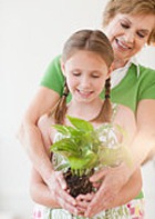 ������ ��������, ������ ������� ������ ����������� � ���������� ������