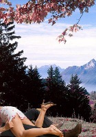 ������� ����: ����� ����������� ����������